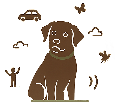 Will You Please Just Listen - Online Course For Labrador Retriever owners whose Labs pay attention to everything — except them.