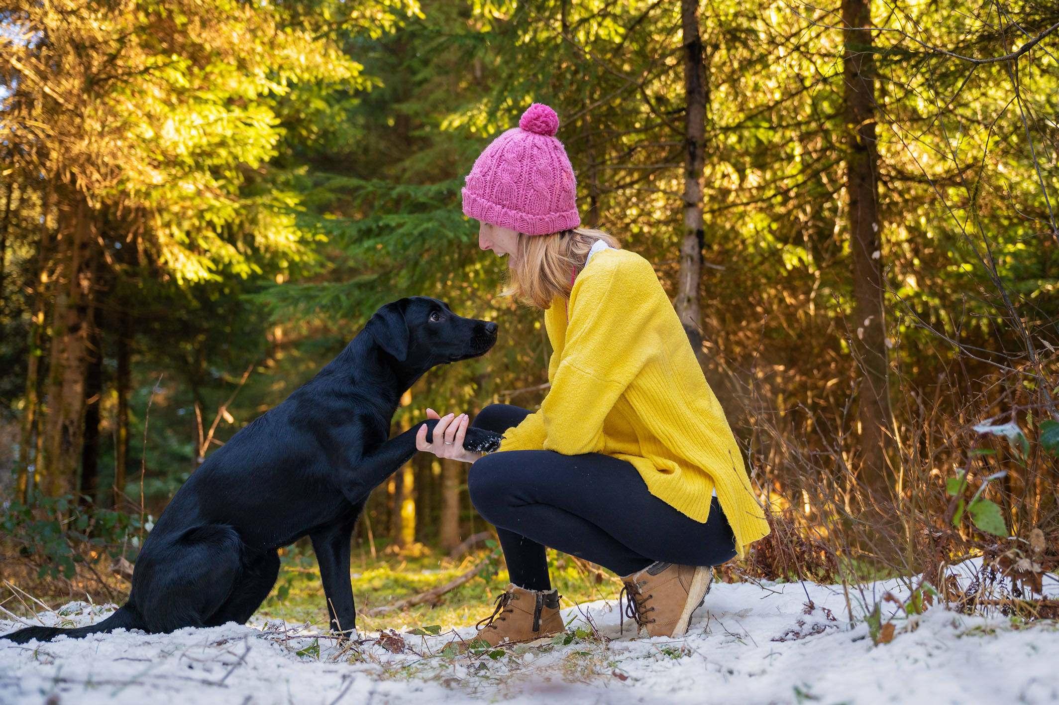 A woman kneeling in a snowy forest holding paws with her black Labrador, sharing a calm moment of connection in a sunlit winter landscape.