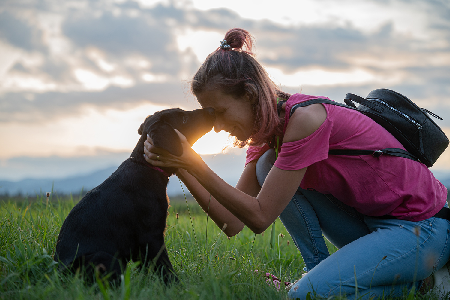 Young labrador puppy kissing her female owner as she kneels down to her in a beautiful green meadow with the setting sun shining in between them.