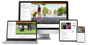 Focus Around Distractions for Labradors