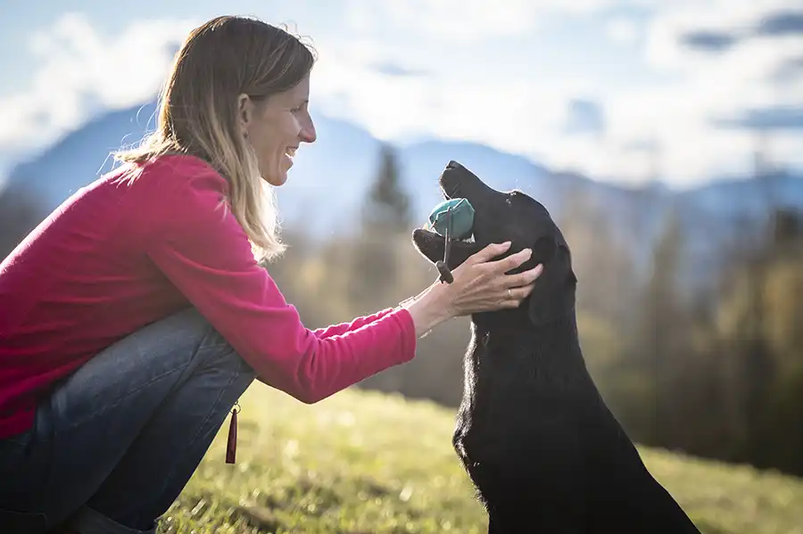 Woman training a black Labrador Retriever outdoors with a retrieving dummy